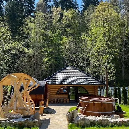 Cabana Butura Holiday home Negulesti
