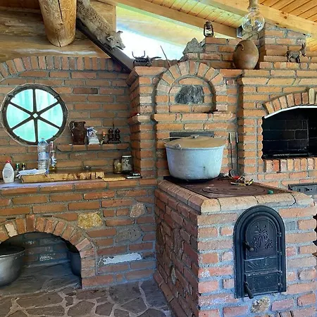 Cabana Butura Holiday home Negulesti